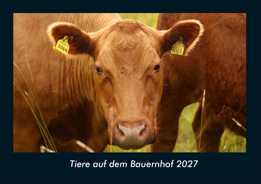 Tiere auf dem Bauernhof 2027 Fotokalender DIN A4 - Tobias Schmitt, Kevin Heber