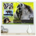 Lemuren die süßen Bewohner Madagaskars (hochwertiger Premium Wandkalender 2024 DIN A2 quer), Kunstdruck in Hochglanz - Tanja Riedel
