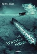 Cover-Bild zum Titel 'Entscheidung im Wattenmeer' von 'Karl Hemeyer'