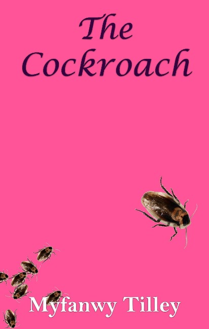 The Cockroach - Myfanwy Tilley