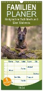 Familienplaner 2024 - Belgischer Schäferhund - Der Malinois mit 5 Spalten (Wandkalender, 21 x 45 cm) CALVENDO - Tanja Brandt