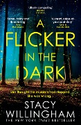 Cover-Bild zum Titel 'A Flicker in the Dark' von 'Stacy Willingham'