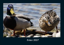 Cover-Bild zum Titel 'Enten 2027 Fotokalender DIN A4' von 'Tobias Schmitt, Kevin Heber'