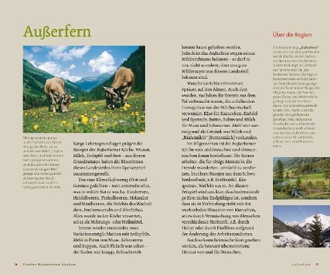 InsideView 1
