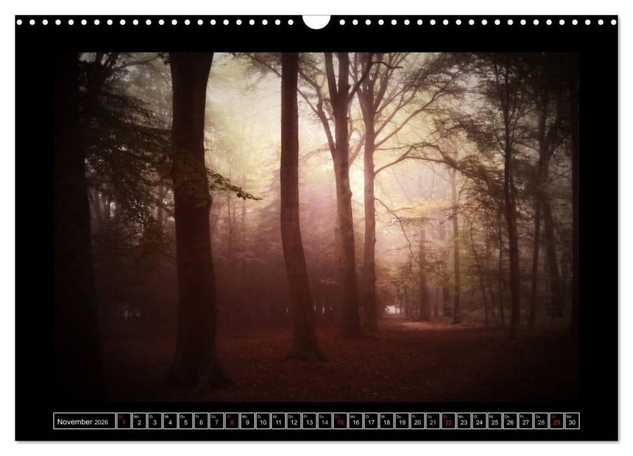 InsideView 3