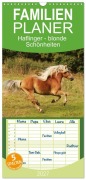 Cover-Bild zum Titel 'Familienplaner 2027 - Haflinger - blonde Schönheiten mit 5 Spalten (Wandkalender, 21 x 45 cm) CALVENDO' von 'Alexandra Schäfer'