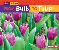From Bulb to Tulip - Lisa Owings