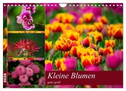 Kleine Blumen ganz groß (Wandkalender 2026 DIN A4 quer), CALVENDO Monatskalender - M. Reznicek