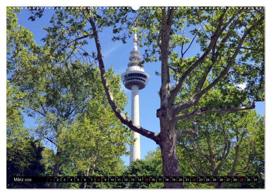 InsideView 7