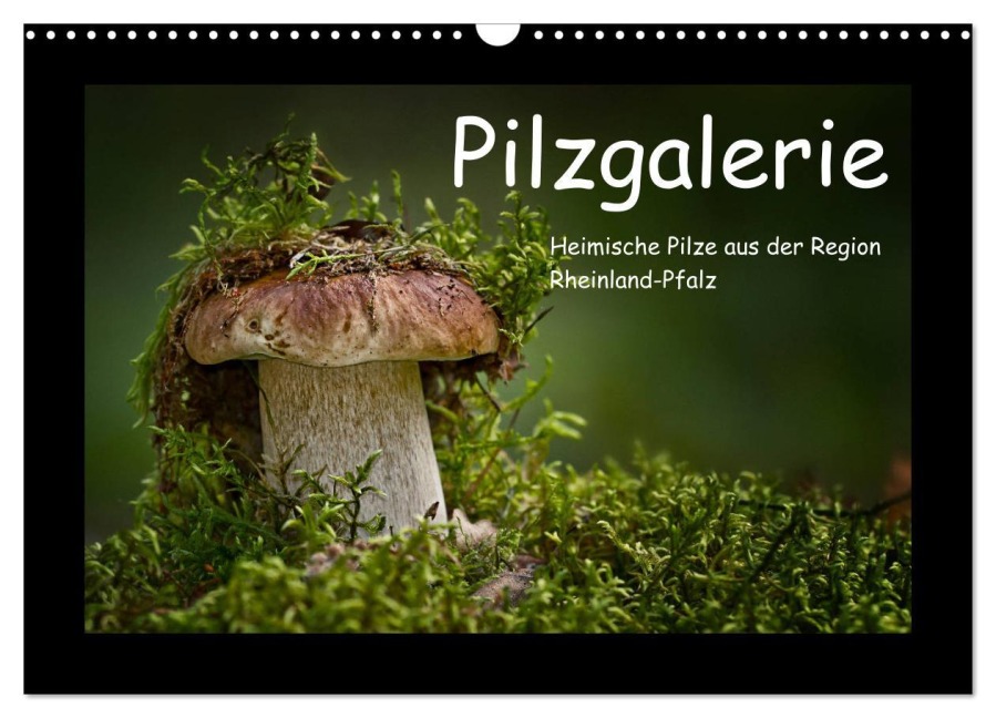Pilzgalerie - Heimische Pilze aus der Region Rheinland-Pfalz (Wandkalender 2026 DIN A3 quer), CALVENDO Monatskalender - Beate Wurster
