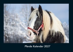 Cover-Bild zum Titel 'Pferde Kalender 2027 Fotokalender DIN A4' von 'Tobias Schmitt, Kevin Heber'