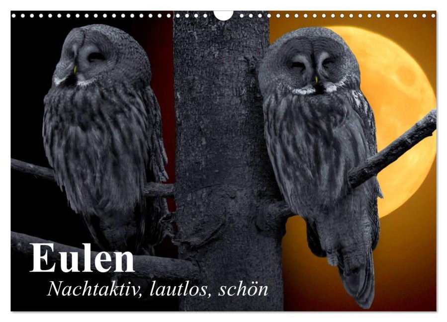 Eulen. Nachtaktiv, lautlos, schön (Wandkalender 2026 DIN A3 quer), CALVENDO Monatskalender - Elisabeth Stanzer