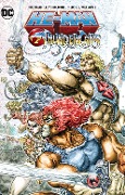 Cover-Bild zum Titel 'He-Man / Thundercats' von 'Rob David, Lloyd Goldfine'
