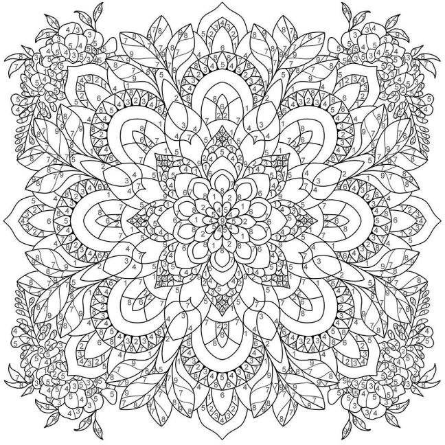 InsideView 4