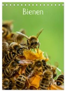 Cover-Bild zum Titel 'Bienen (Tischkalender 2026 DIN A5 hoch), CALVENDO Monatskalender' von 'Mark Bangert'