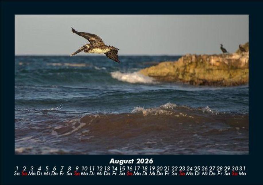 InsideView 12