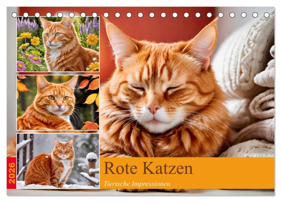 Rote Katzen (Tischkalender 2026 DIN A5 quer), CALVENDO Monatskalender - Steffani Lehmann
