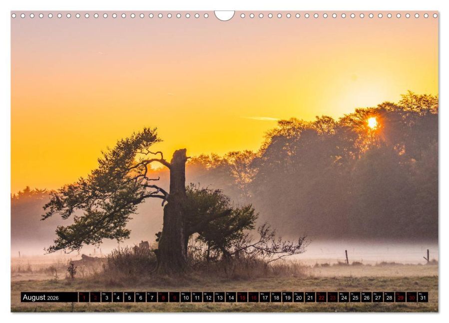InsideView 13