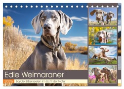 Edle Weimaraner. Loyale Silberseelen im Licht der Natur (Tischkalender 2026 DIN A5 quer), CALVENDO Monatskalender - Rose Hurley