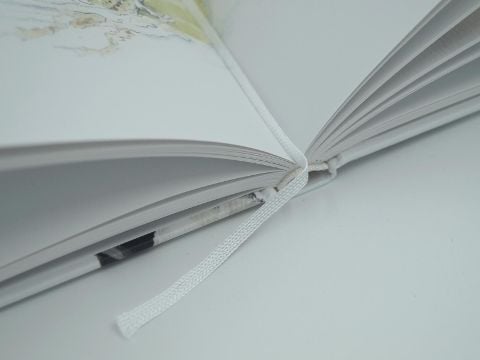 InsideView 6