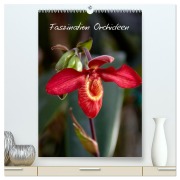 Faszination Orchideen (hochwertiger Premium Wandkalender 2026 DIN A2 hoch), Kunstdruck in Hochglanz - Veronika Rix