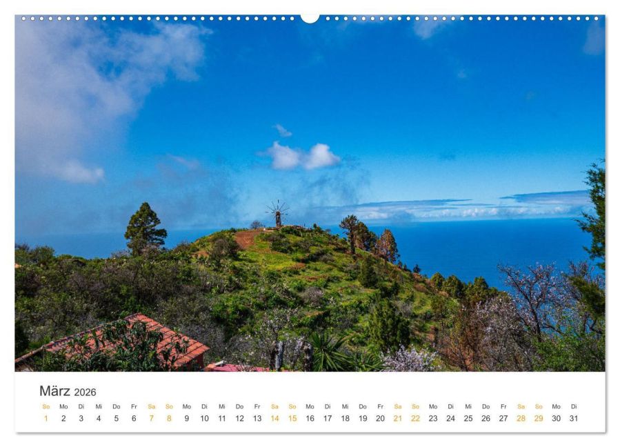 InsideView 8