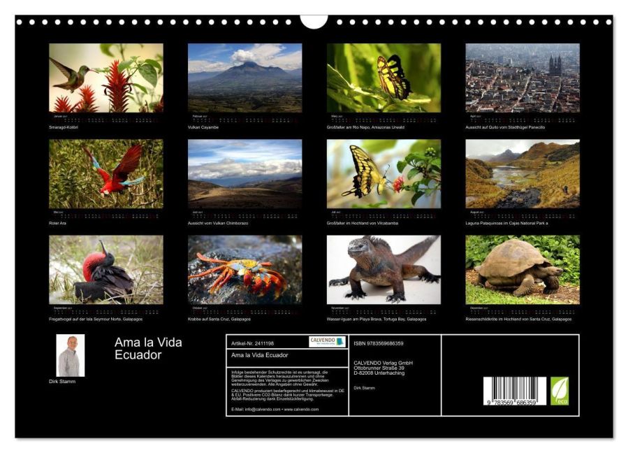 InsideView 5