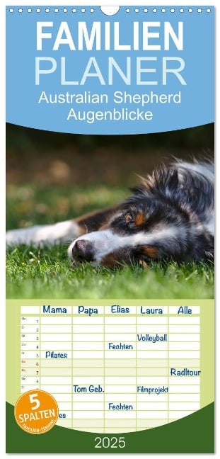 Familienplaner 2025 - Australian Shepherd - Augenblicke mit 5 Spalten (Wandkalender, 21 x 45 cm) CALVENDO - David Andrey