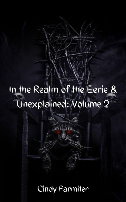 In The Realm of the Eerie & Unexplained: Volume 2 - Cindy Parmiter