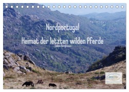 Nordportugal - Heimat der letzten wilden Pferde (Tischkalender 2026 DIN A5 quer), CALVENDO Monatskalender - Sabine Bengtsson