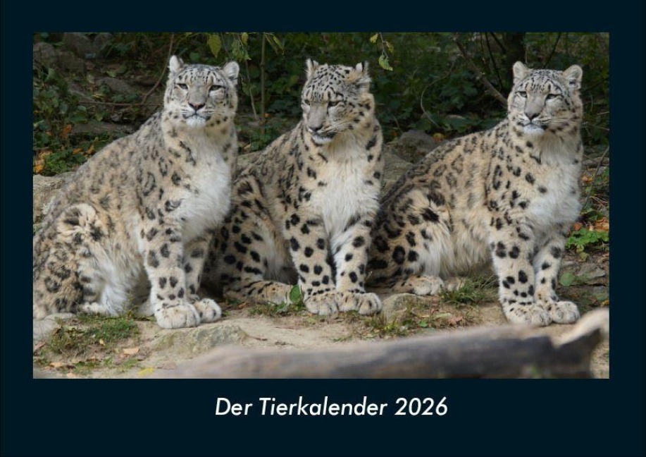 Der Tierkalender 2026 Fotokalender DIN A4 - Tobias Becker