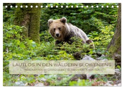 Cover-Bild zum Titel 'Lautlos in den Wäldern Sloweniens (Tischkalender 2026 DIN A5 quer), CALVENDO Monatskalender' von 'Stephan Peyer'