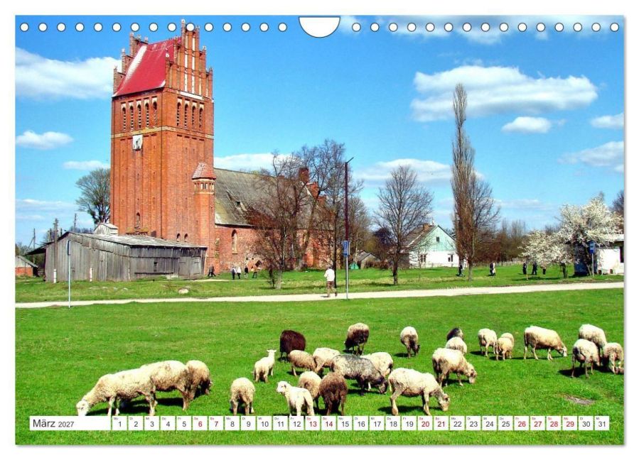 InsideView 8