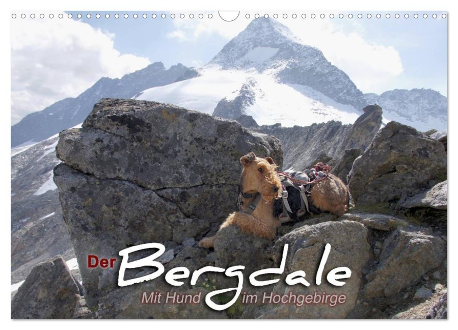Der Bergdale - mit Hund im Hochgebirge (Wandkalender 2026 DIN A3 quer), CALVENDO Monatskalender - Antje Becker