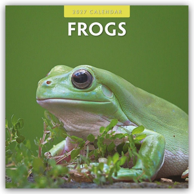 Frogs - Frosch - Frösche 2027 - 16-Monatskalender - Robin Red