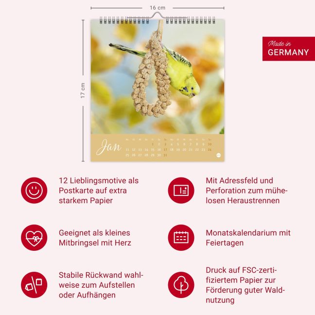 InsideView 13
