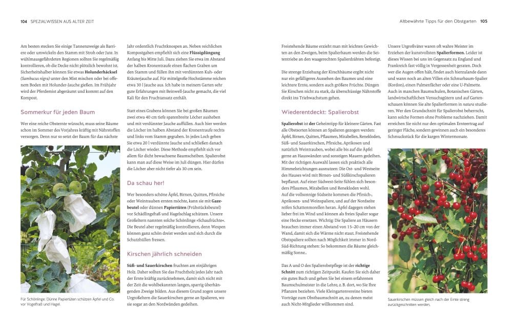 InsideView 5