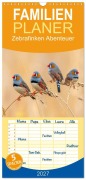 Cover-Bild zum Titel 'Familienplaner 2027 - Zebrafinken Abenteuer mit 5 Spalten (Wandkalender, 21 x 45 cm) CALVENDO' von 'Kerstin Waurick'