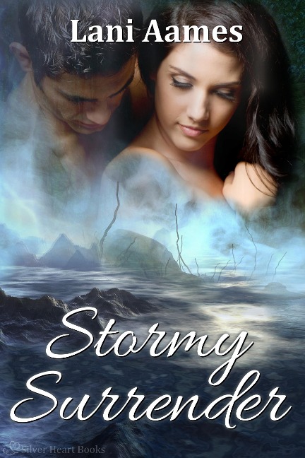 Stormy Surrender - Lani Aames