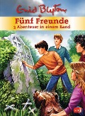 Fünf Freunde - 3 Abenteuer in einem Band - Enid Blyton