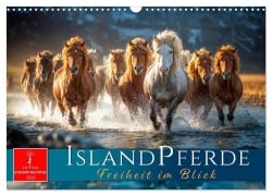 Cover-Bild zum Titel 'Islandpferde - Freiheit im Blick (Wandkalender 2026 DIN A3 quer), CALVENDO Monatskalender' von 'Roder Roder'