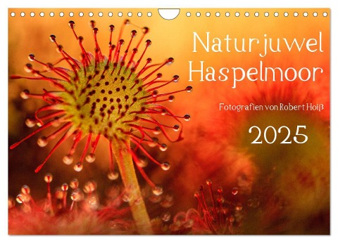 Naturjuwel Haspelmoor (Wandkalender 2025 DIN A4 quer), CALVENDO Monatskalender - Robert Hoiß