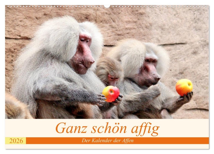 Ganz schön affig - Der Kalender der Affen (Wandkalender 2026 DIN A2 quer), CALVENDO Monatskalender - Arno Klatt