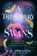 Cover-Bild zum Titel 'A Treachery of Swans' von 'A. B. Poranek'
