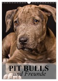 Pit Bulls und Freunde (Wandkalender 2025 DIN A3 hoch), CALVENDO Monatskalender - Elisabeth Stanzer
