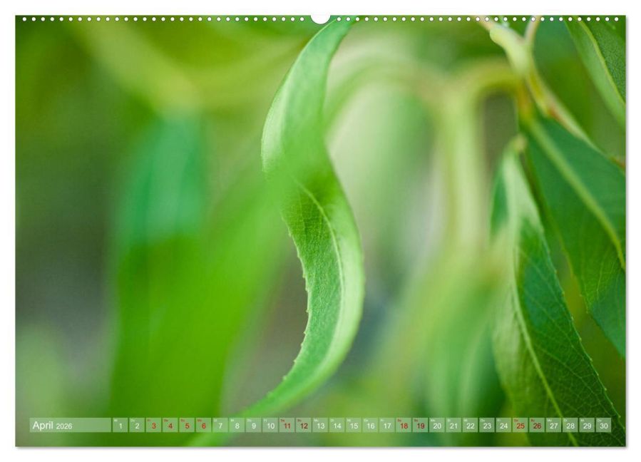 InsideView 8