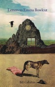 Cover-Bild zum Titel 'Letters to Emma Bowlcut' von 'Bill Callahan'