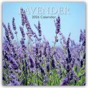 Lavender - Lavendel 2026 - 16-Monatskalender - Gifted Stationery Co. Ltd