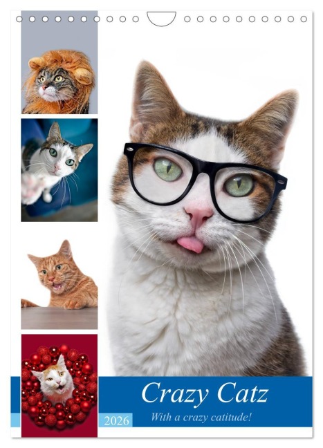 Crazy Catz. (Wandkalender 2026 DIN A4 hoch), CALVENDO Monatskalender - Thorsten Nilson