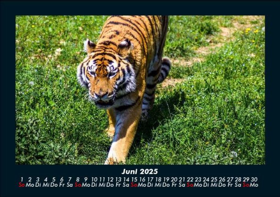 InsideView 10